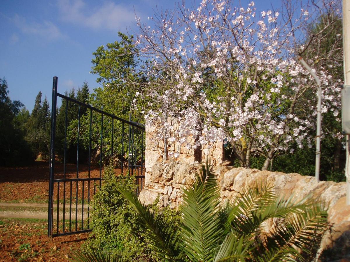 סה רפיטה Carpe Diem מראה חיצוני תמונה